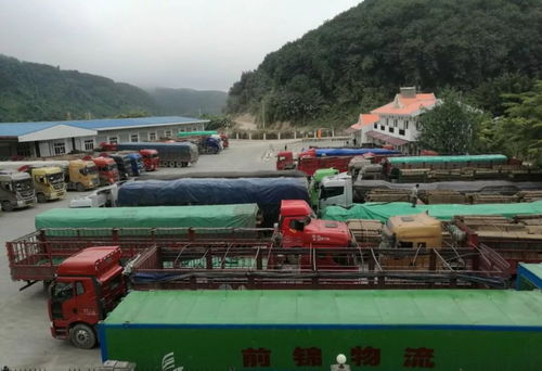 關(guān)累港口聯(lián)合黨工委 以國(guó)門(mén)黨建固邊興邊 促邊境發(fā)展繁榮穩(wěn)定 助力貨物進(jìn)出口騰飛